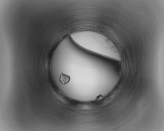 X0000115780412200911131010