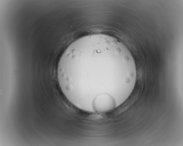 X0000115780418200911131010