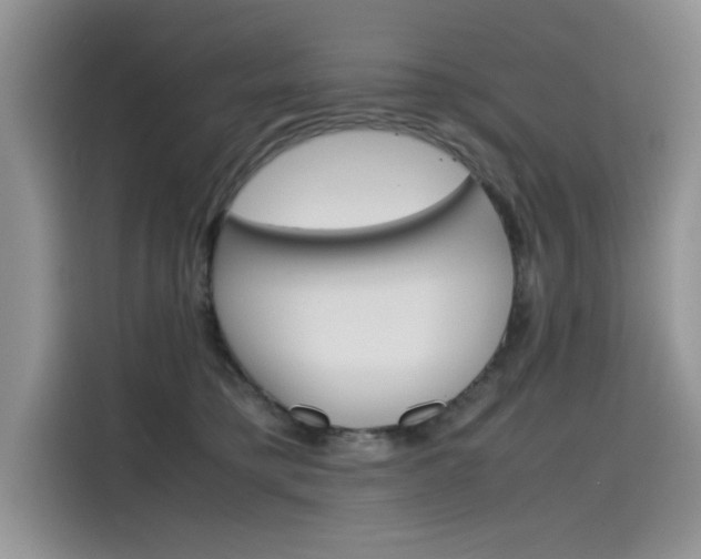 X0000115780421200911131010