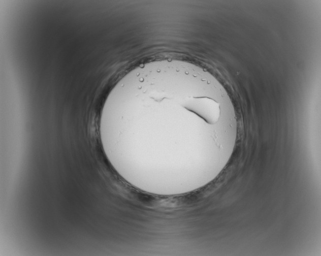 X0000115780423200911131010