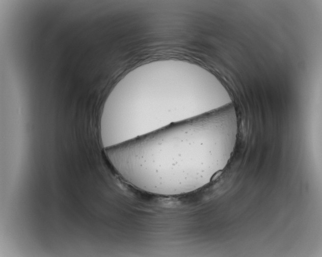X0000115780424200911131010