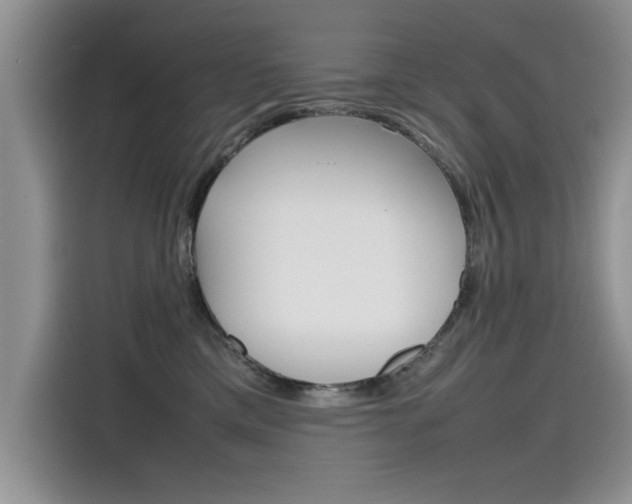 X0000115780425200911131010
