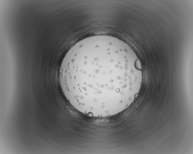 X0000115780426200911131010