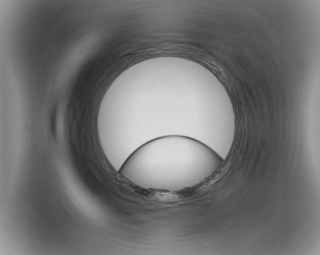X0000115780429200911131010