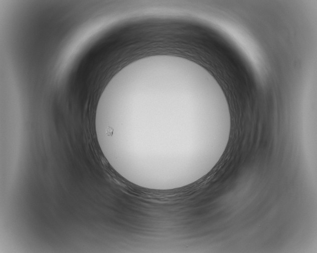 X0000115780431200911131010