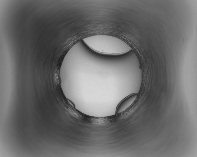 X0000115780432200911131010
