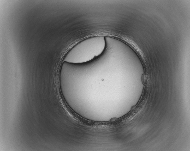 X0000115780433200911131009