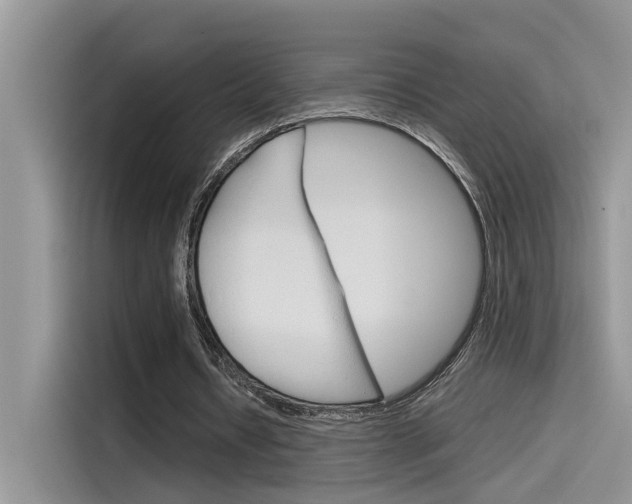 X0000115780434200911131009