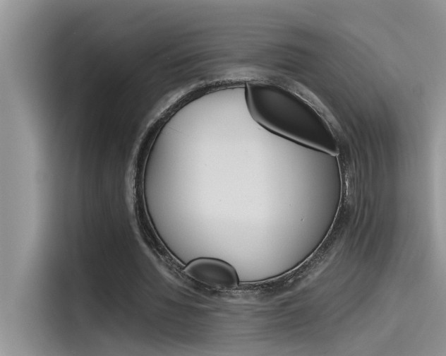 X0000115780436200911131009