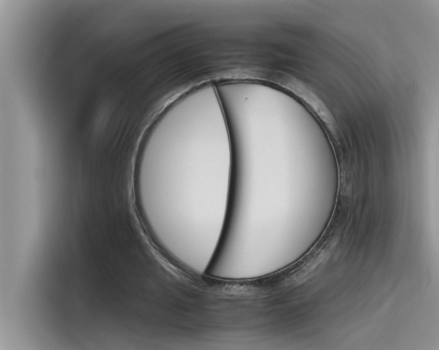 X0000115780437200911131009