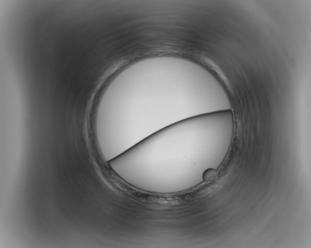 X0000115780443200911131009