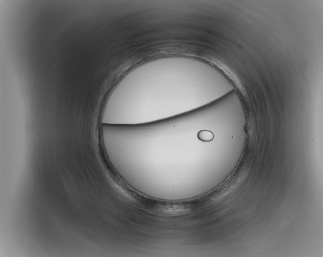 X0000115780445200911131009