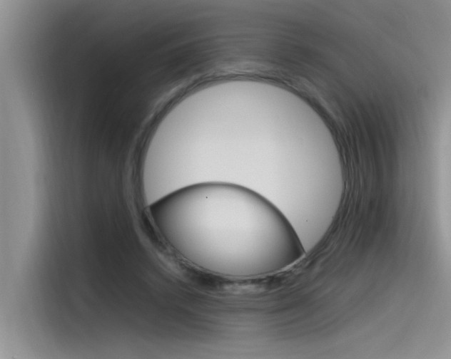 X0000115780448200911131009