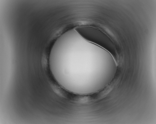 X0000115780456200911131010