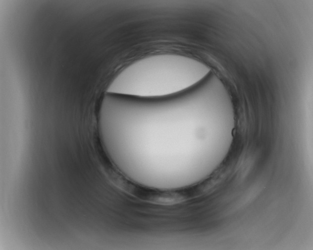 X0000115780459200911131010