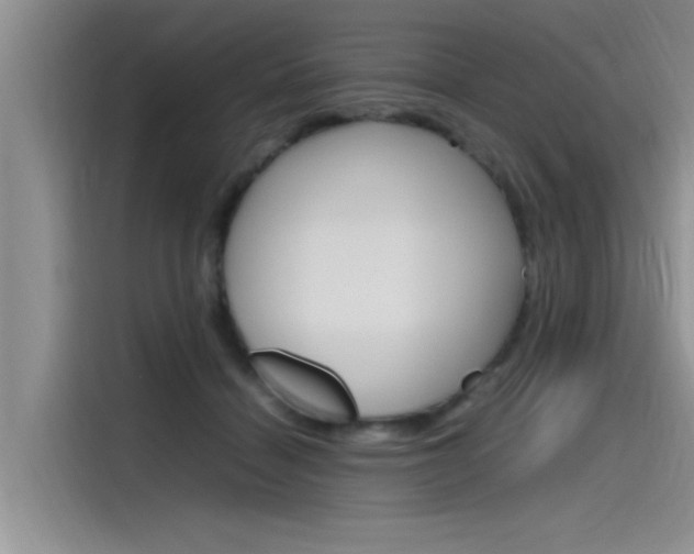 X0000115780460200911131010