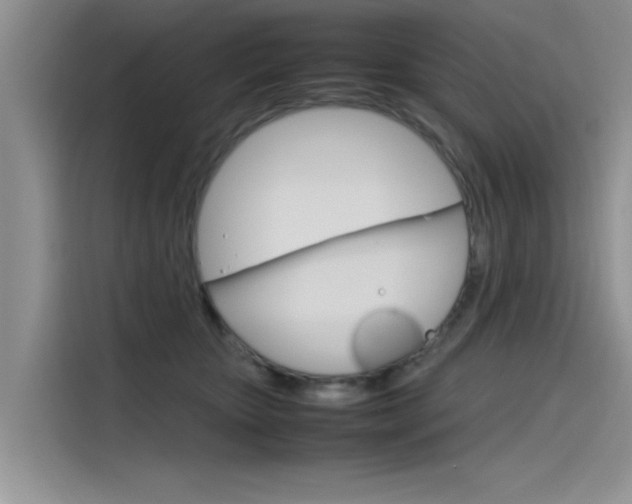 X0000115780467200911131010