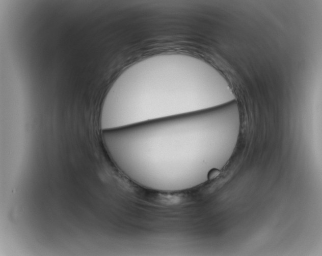 X0000115780469200911131010