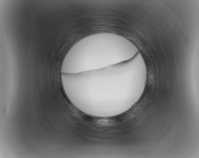 X0000115780473200911131010