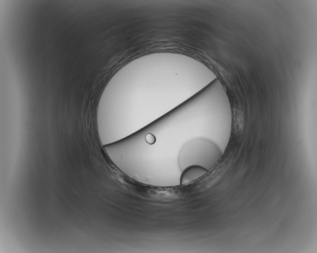 X0000115780475200911131010