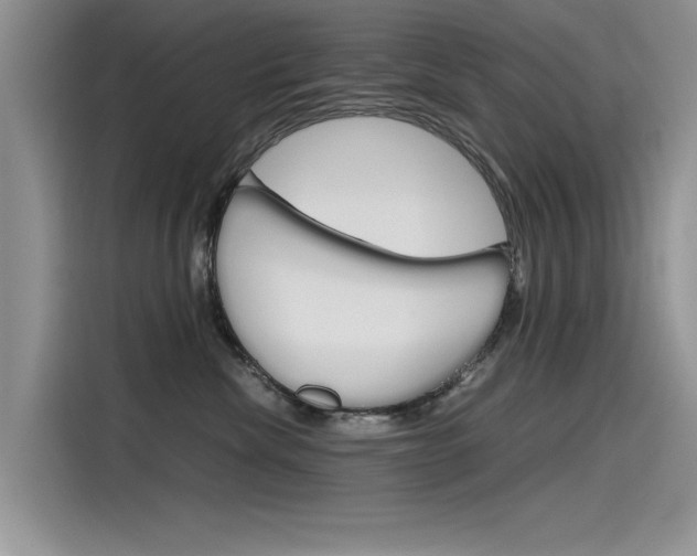 X0000115780476200911131010
