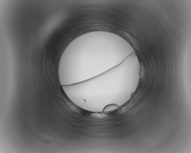 X0000115780477200911131010