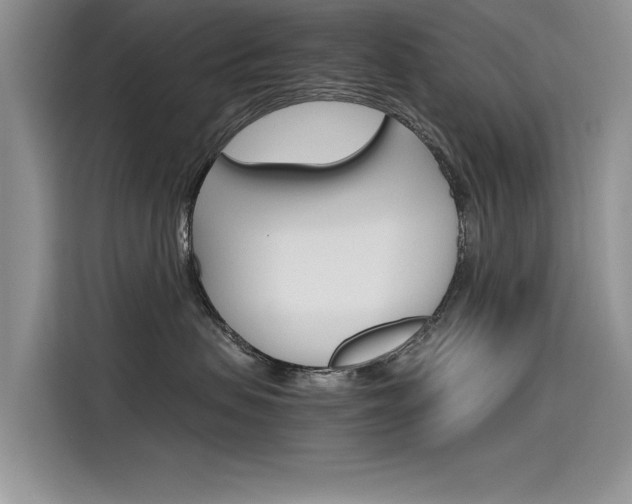 X0000115780479200911131010