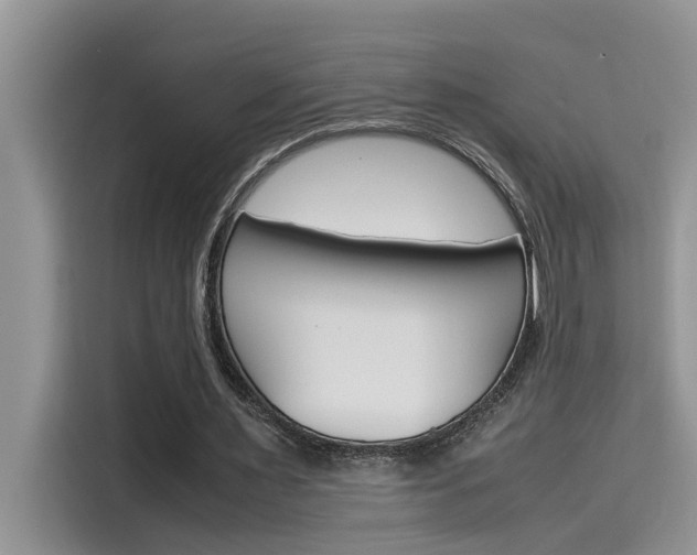 X0000115780483200911131009