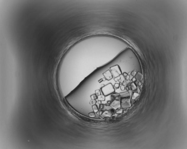 X0000115780485200911131009