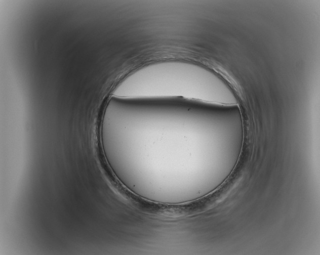 X0000115780489200911131009