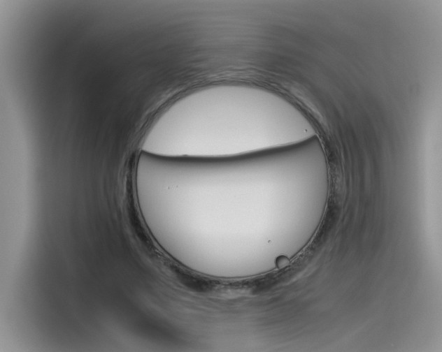 X0000115780491200911131009