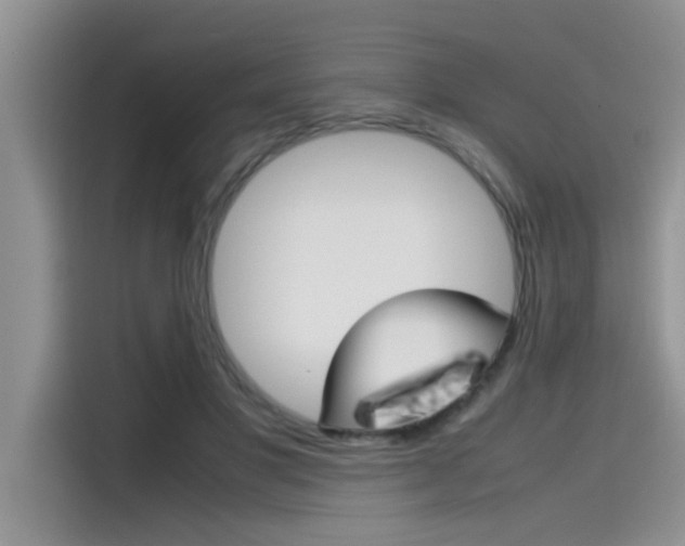 X0000115780501200911131009