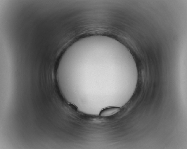 X0000115780508200911131009