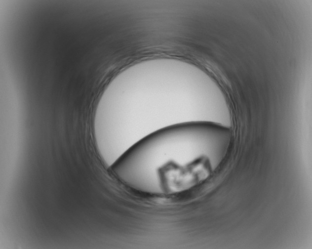 X0000115780509200911131009