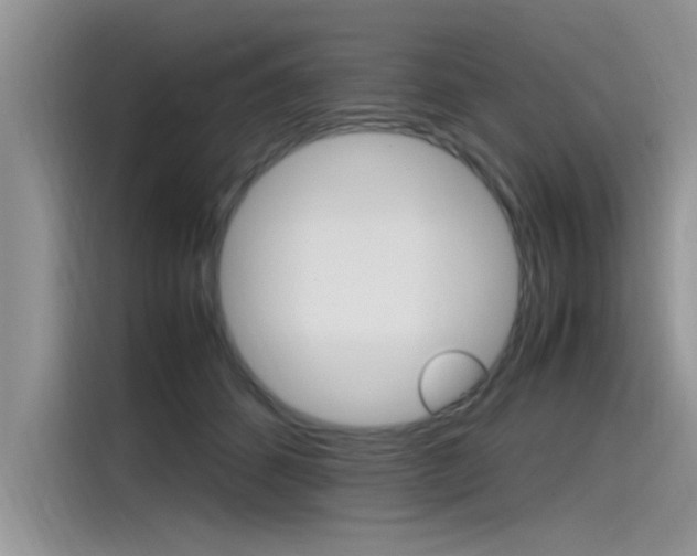 X0000115780512200911131009