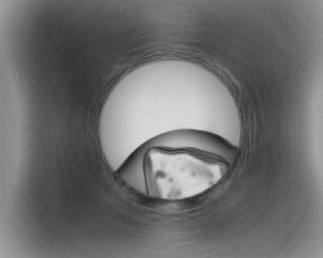 X0000115780513200911131009