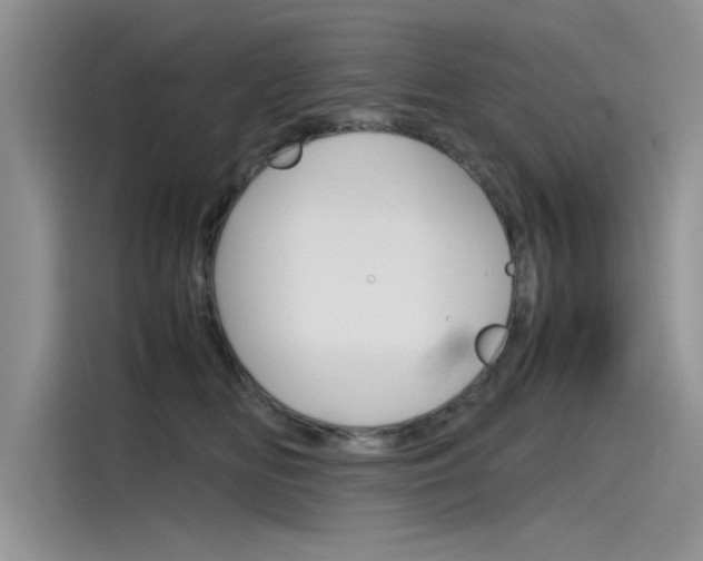 X0000115780518200911131009
