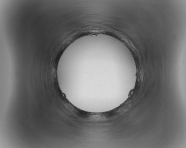 X0000115780521200911131009