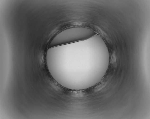 X0000115780524200911131009