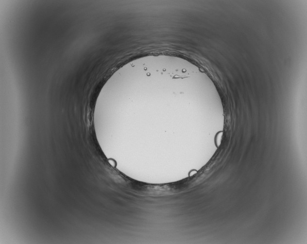 X0000115780525200911131009