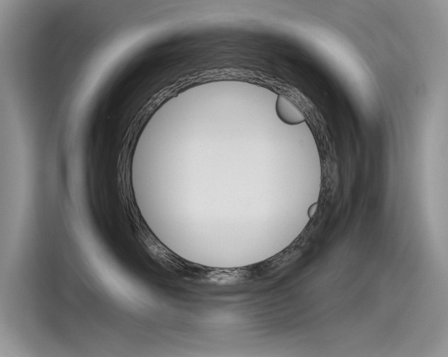 X0000115780526200911131009