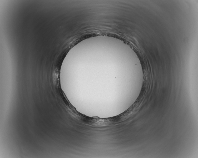 X0000115780527200911131009