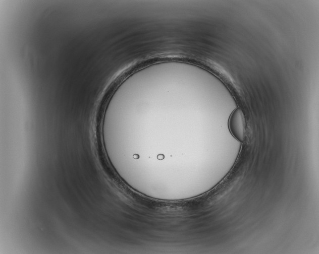 X0000115780535200911131008