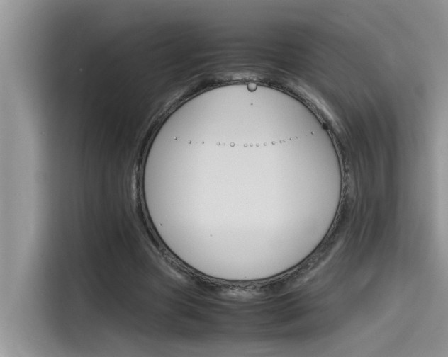X0000115780537200911131008