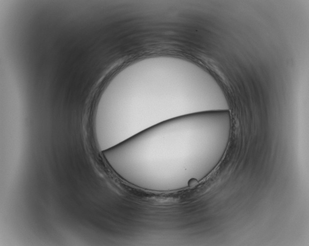 X0000115780539200911131008