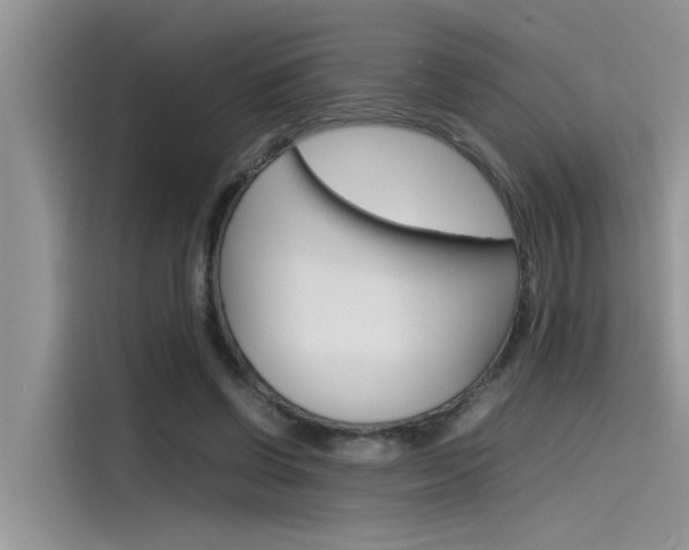 X0000115780542200911131008