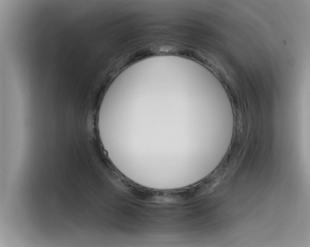X0000115780545200911131008