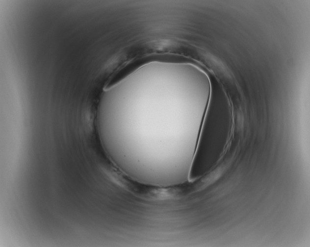 X0000115780558200911131008