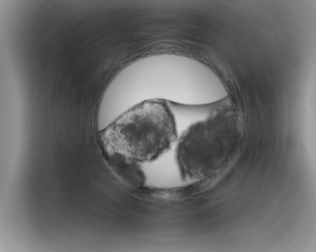 X0000115780561200911131008