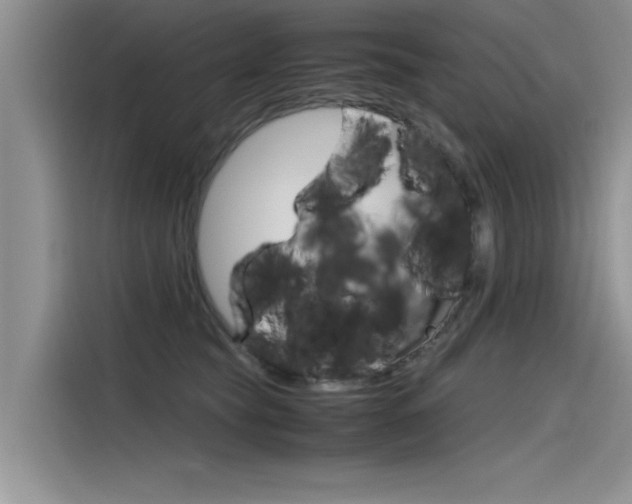 X0000115780565200911131008